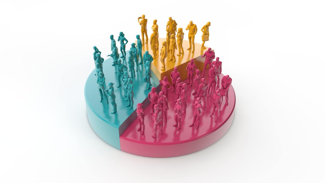 Demographics Gorilla ROI