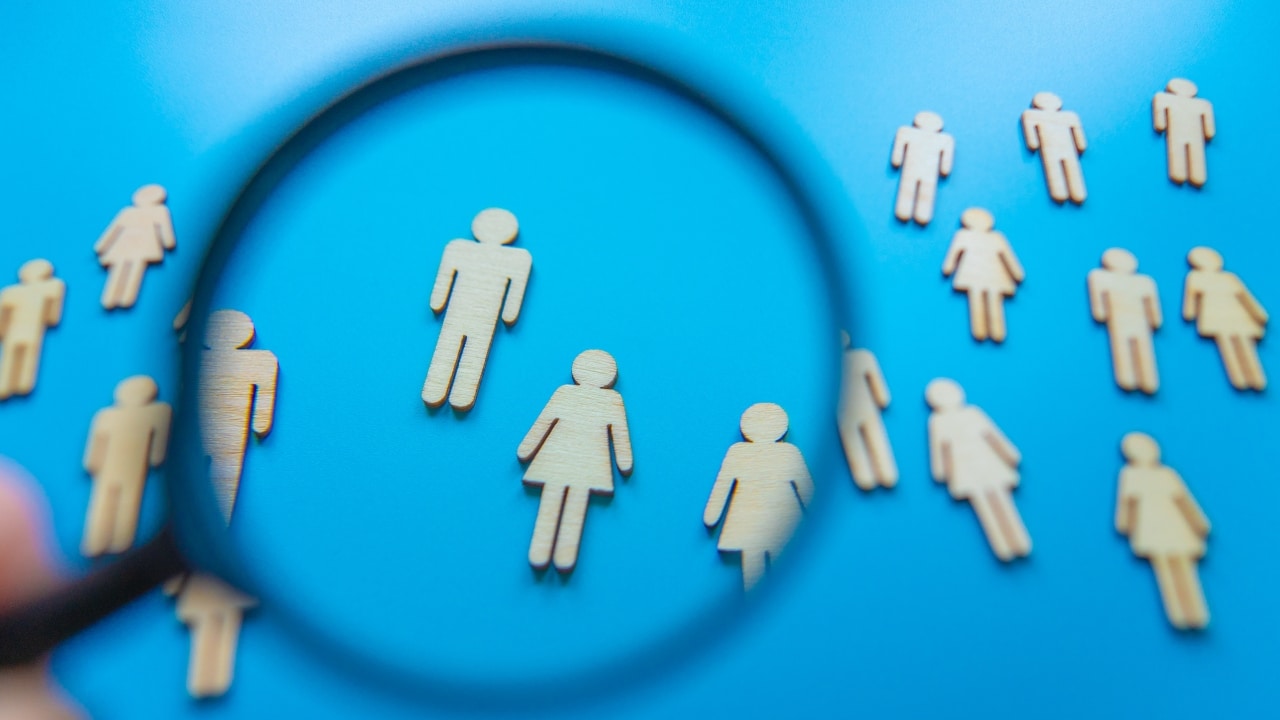 Cust demographics Gorilla ROI