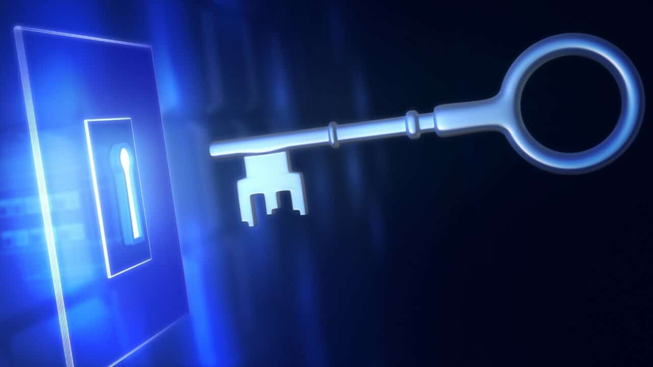 Key features Gorilla ROI