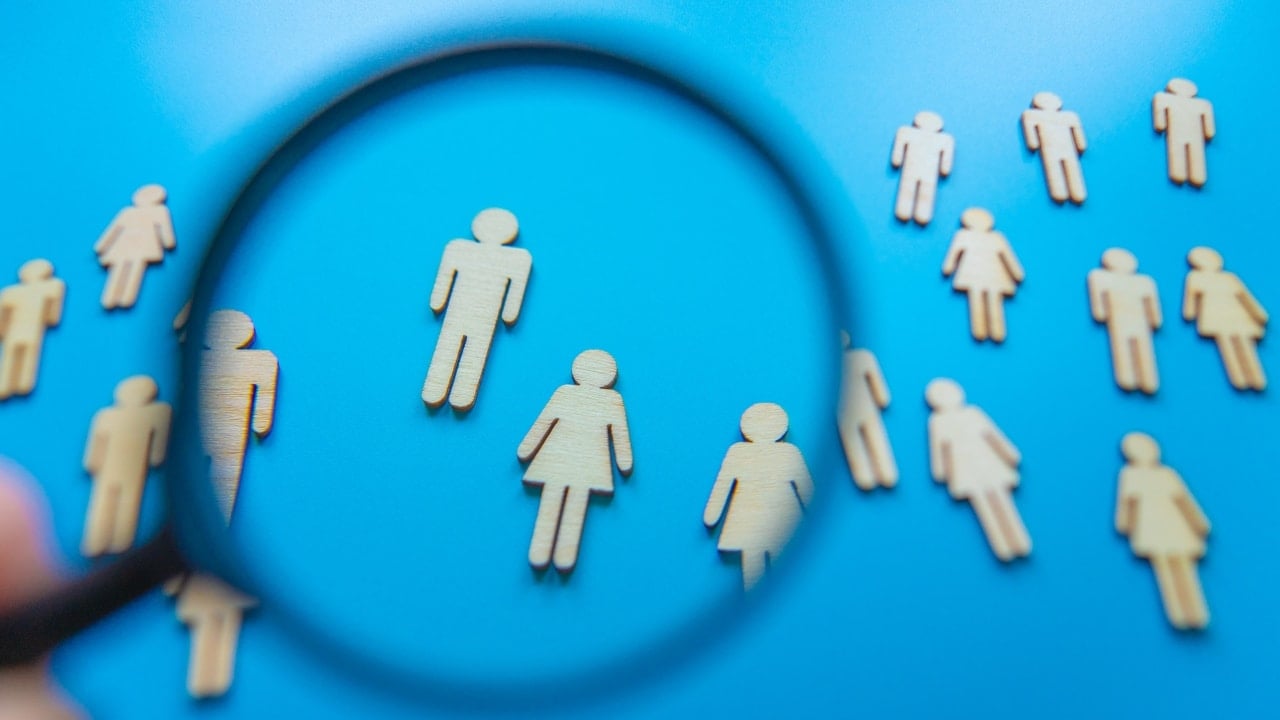 Cust demographics Gorilla ROI