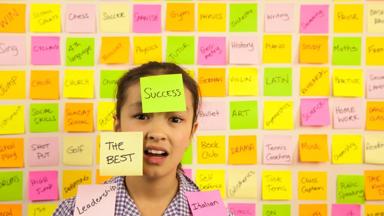 Overload Gorilla ROI