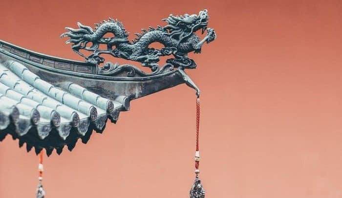 Annie spratt 486512 unsplash Gorilla ROI