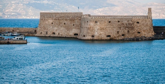 Competitive advantage protection Gorilla ROI