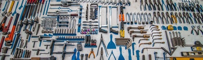 Unnamed 1 Gorilla ROI