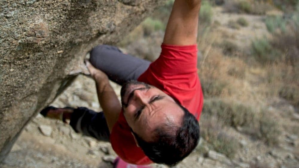 Amazon liquidation challenges Gorilla ROI