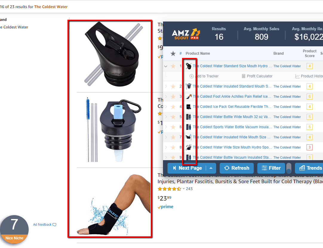 Amazon research tools on competitor Amazon Storefront