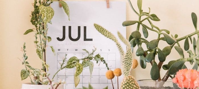 July month happenings Gorilla ROI