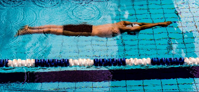 Streamline operations Gorilla ROI