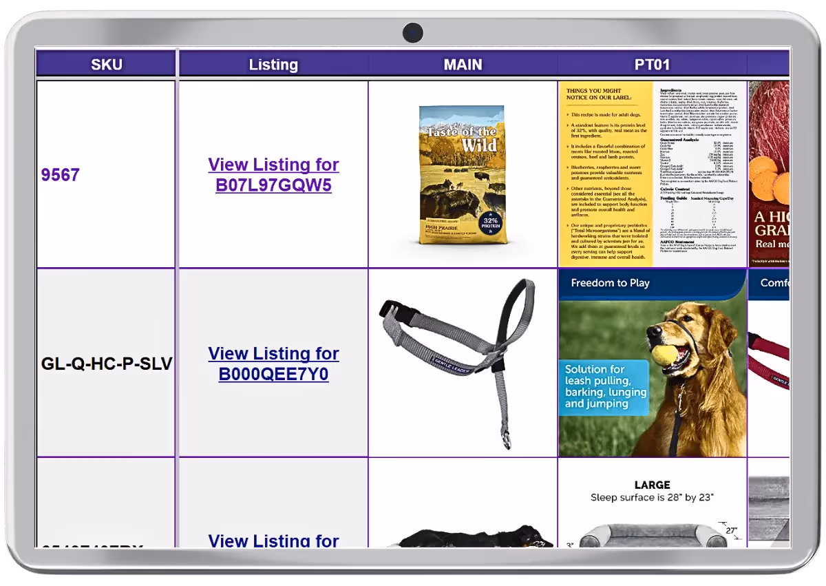 Amazon sales performance dashboard screenshot