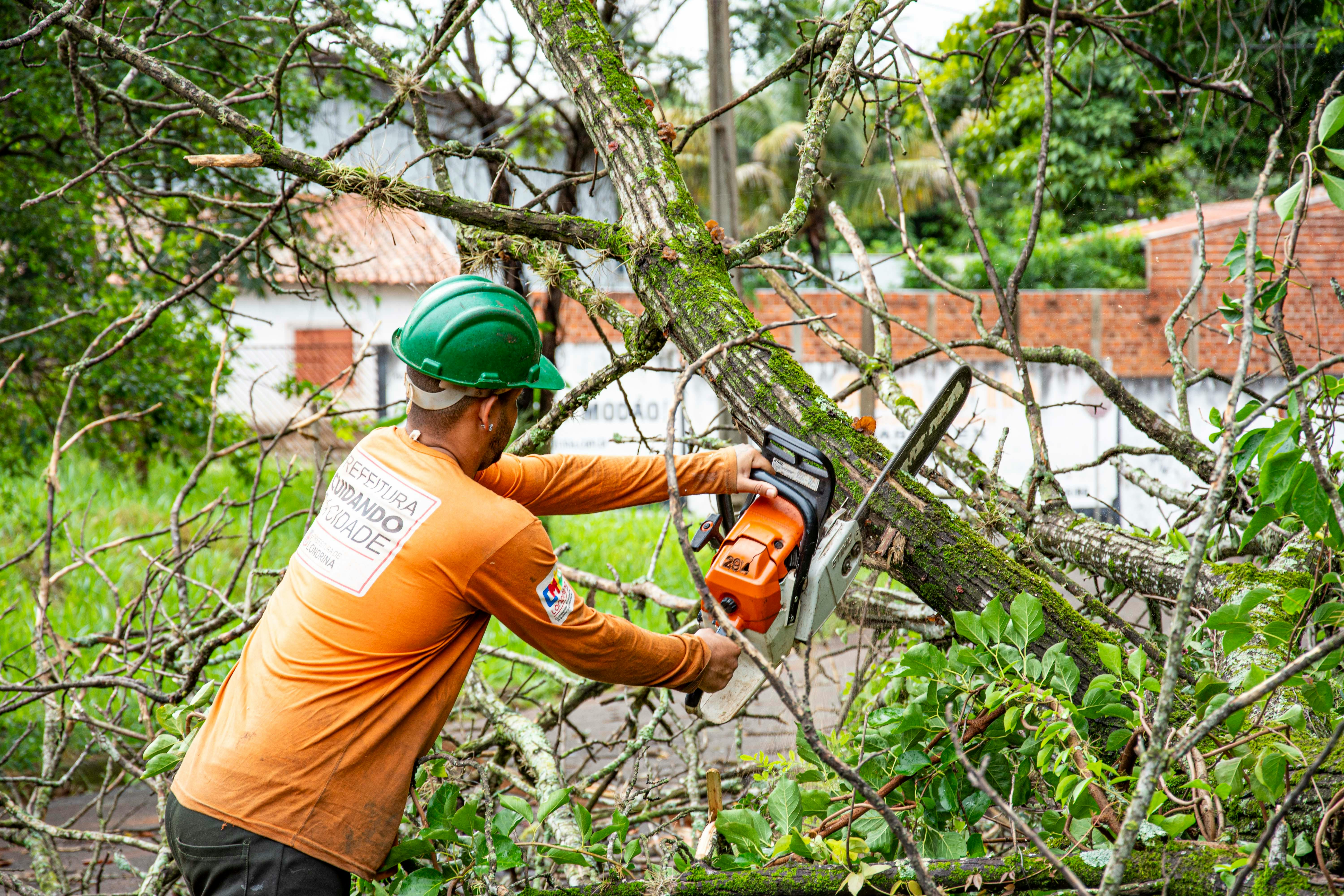 Why Call Tree Service Company?