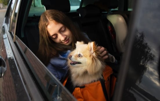 Pet Friendly Cars