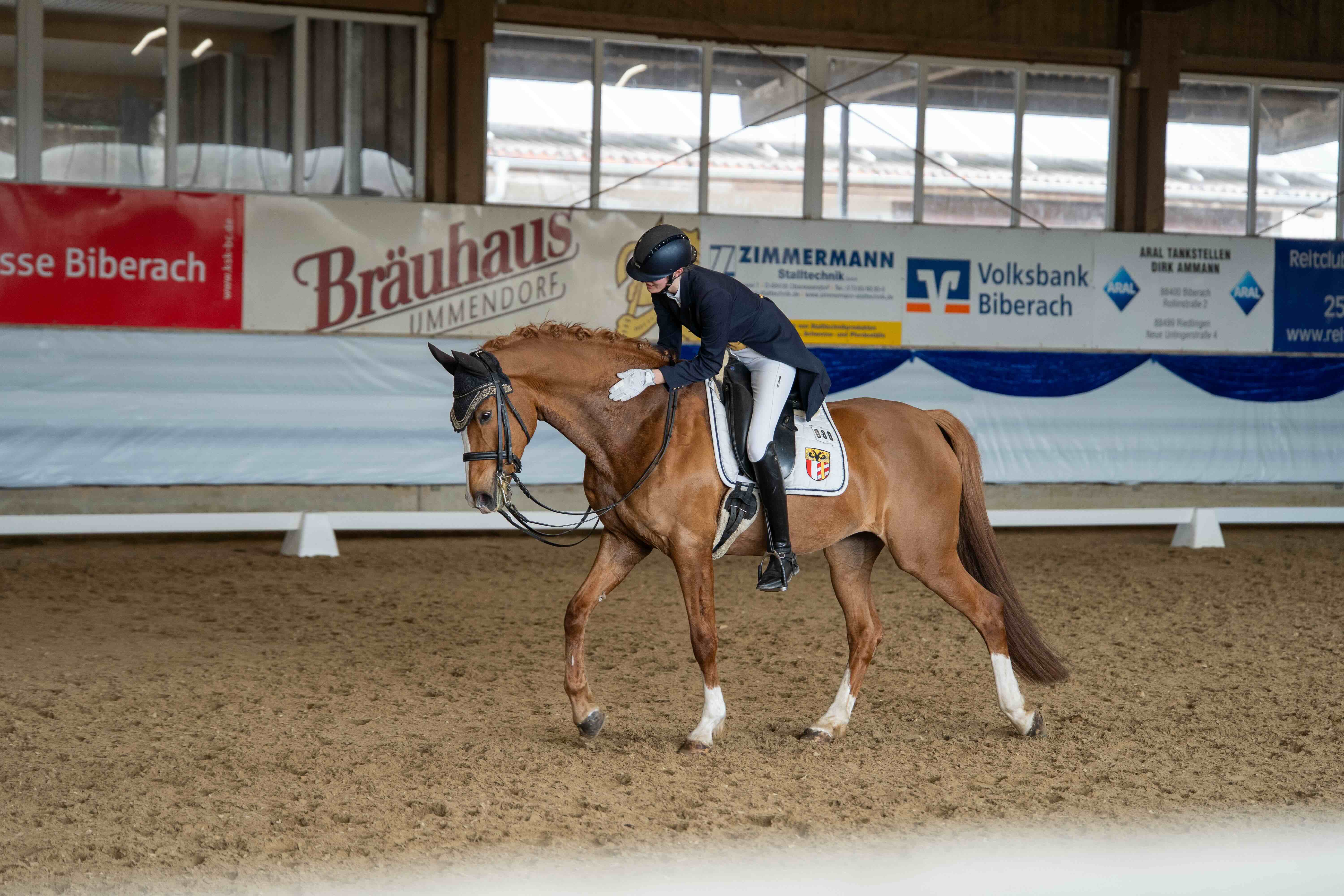 Luisa Fink - Dressur