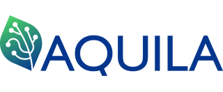 Aquila
