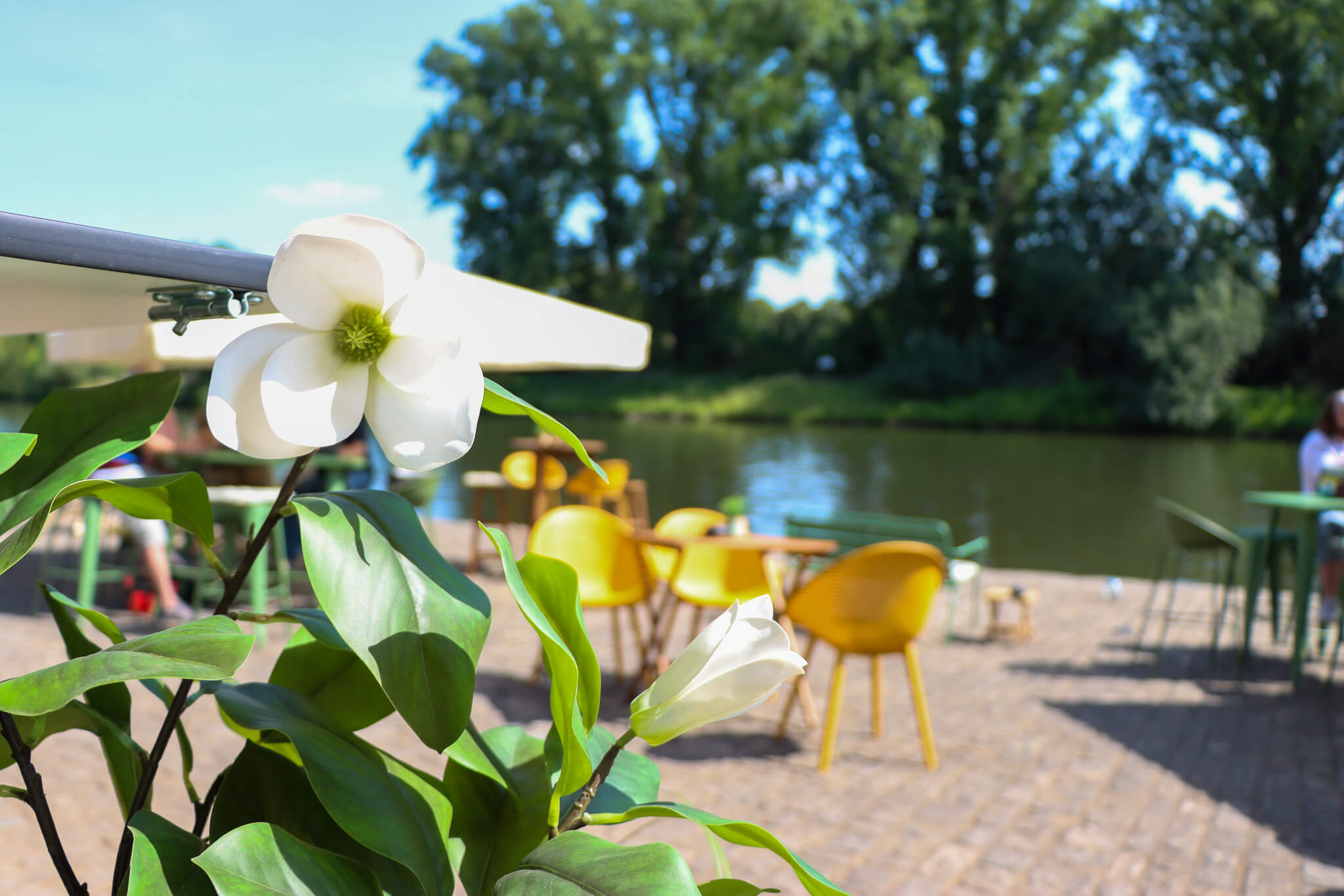 outdoor space [background image]