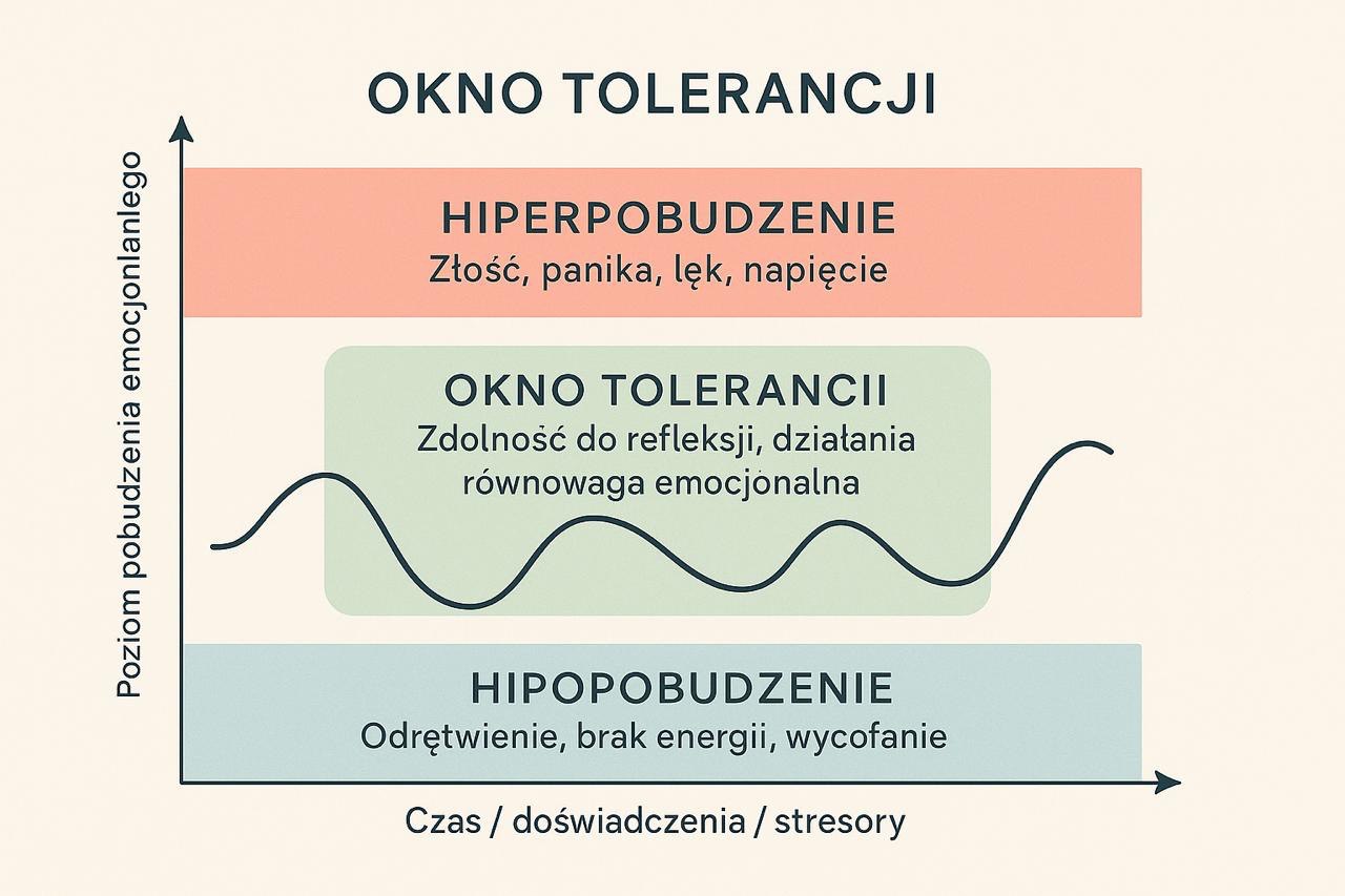 Wykres przedstawiający koncepcję „okna tolerancji” pokazuje zakres równowagi emocjonalnej człowieka. Na osi pionowej znajduje się poziom pobudzenia emocjonalnego, a na osi poziomej – czas, doświadczenia i stresory