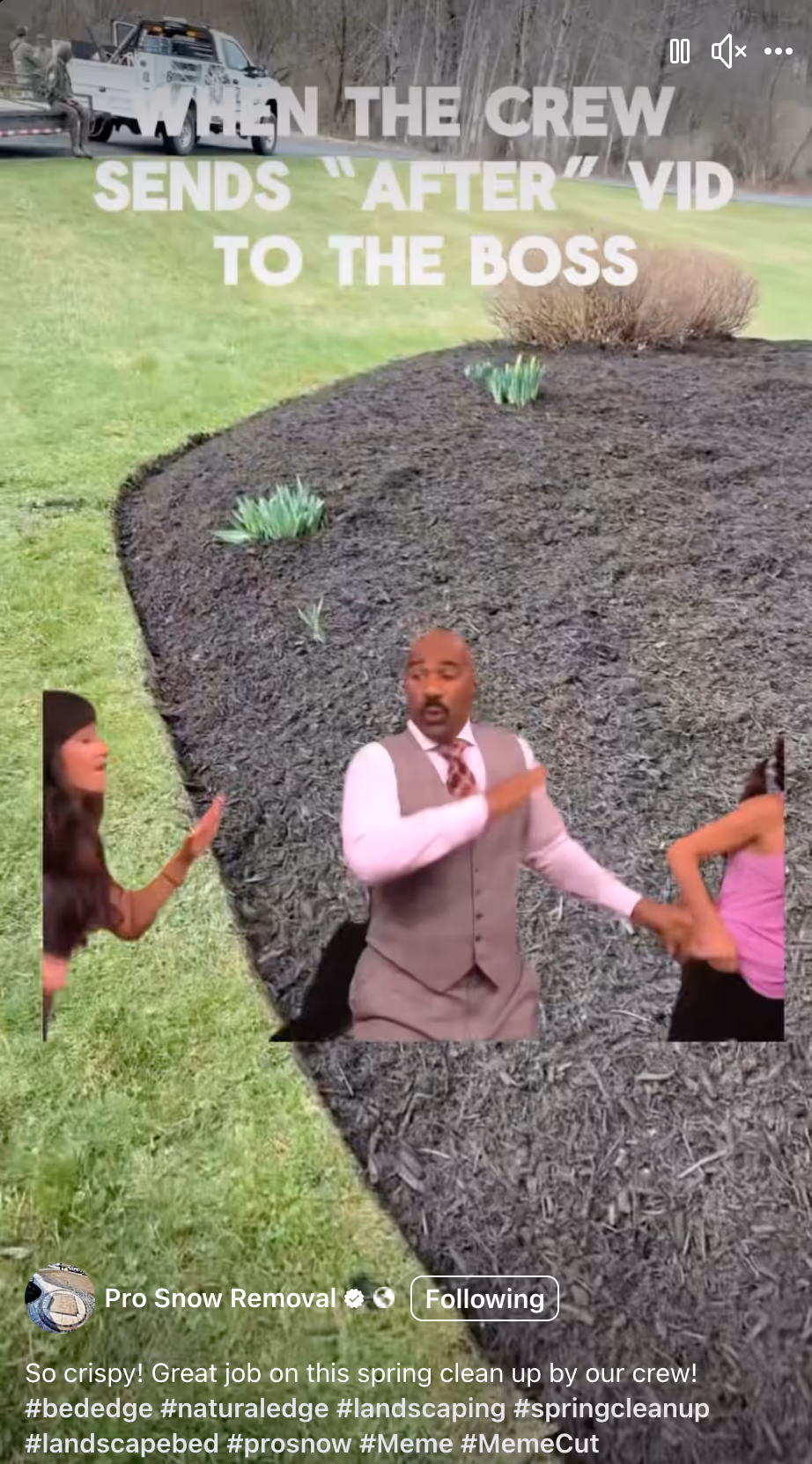 Meme image of people dancing over a background of a flower bed