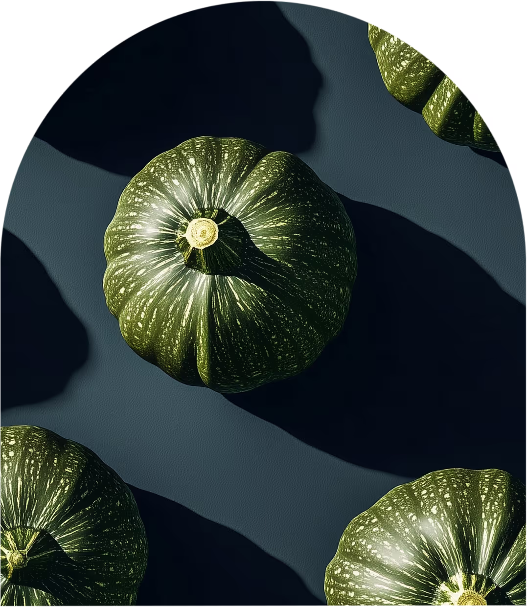 kabocha vegetal