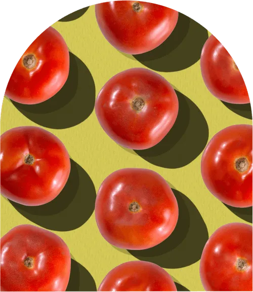 tomatoes