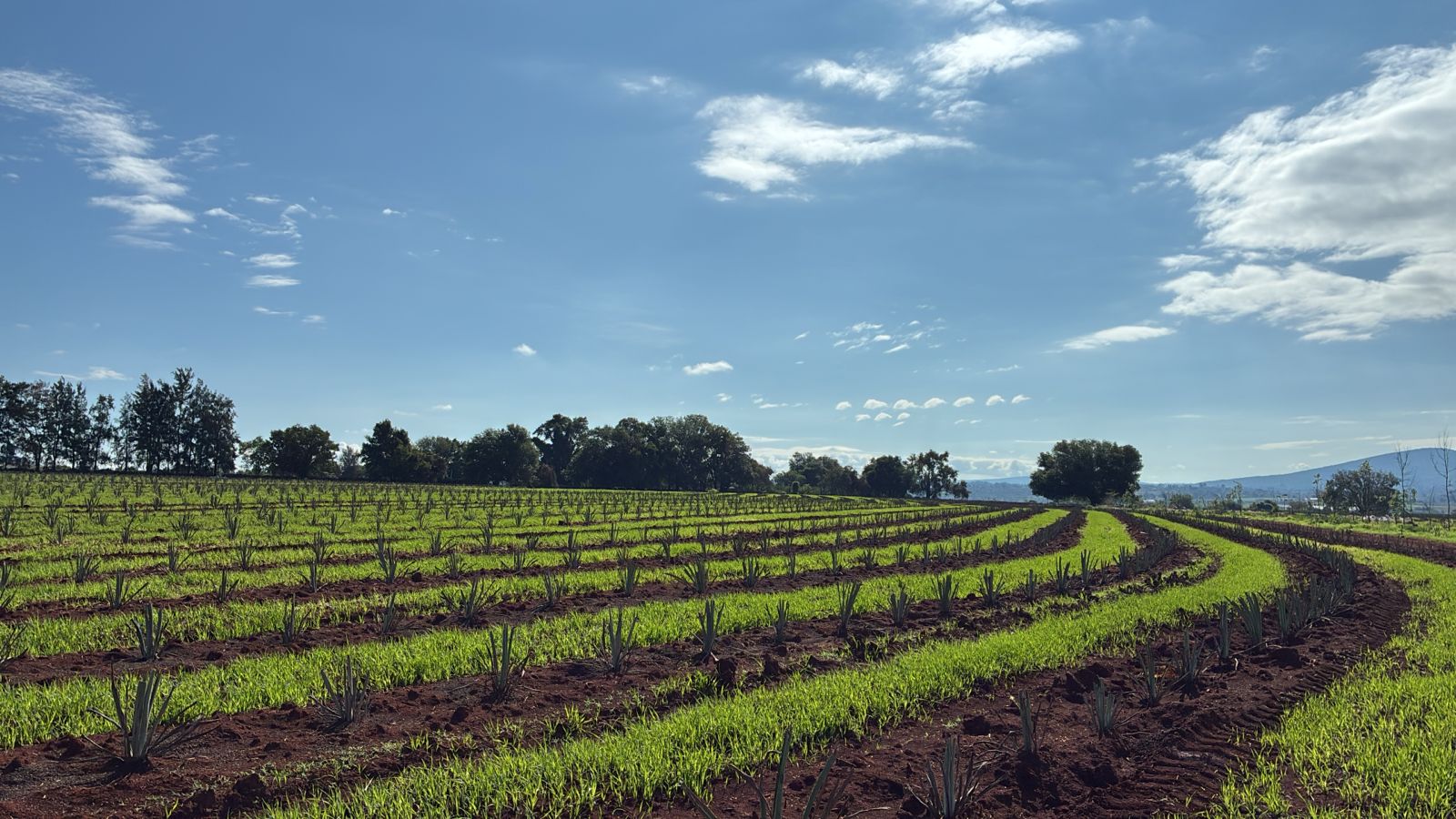 Rancho Don Julio