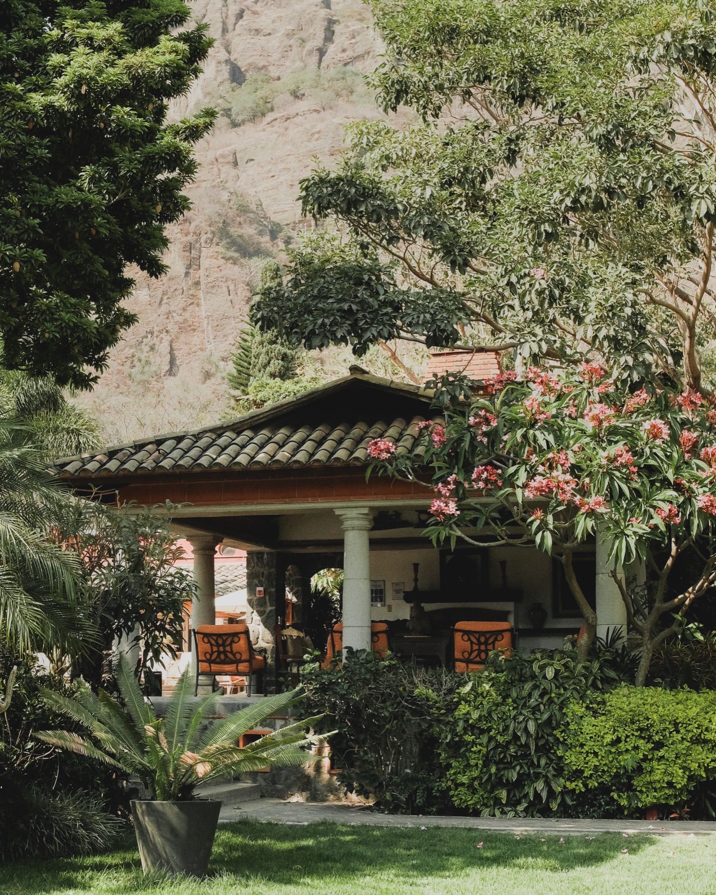 Jardines del hotel