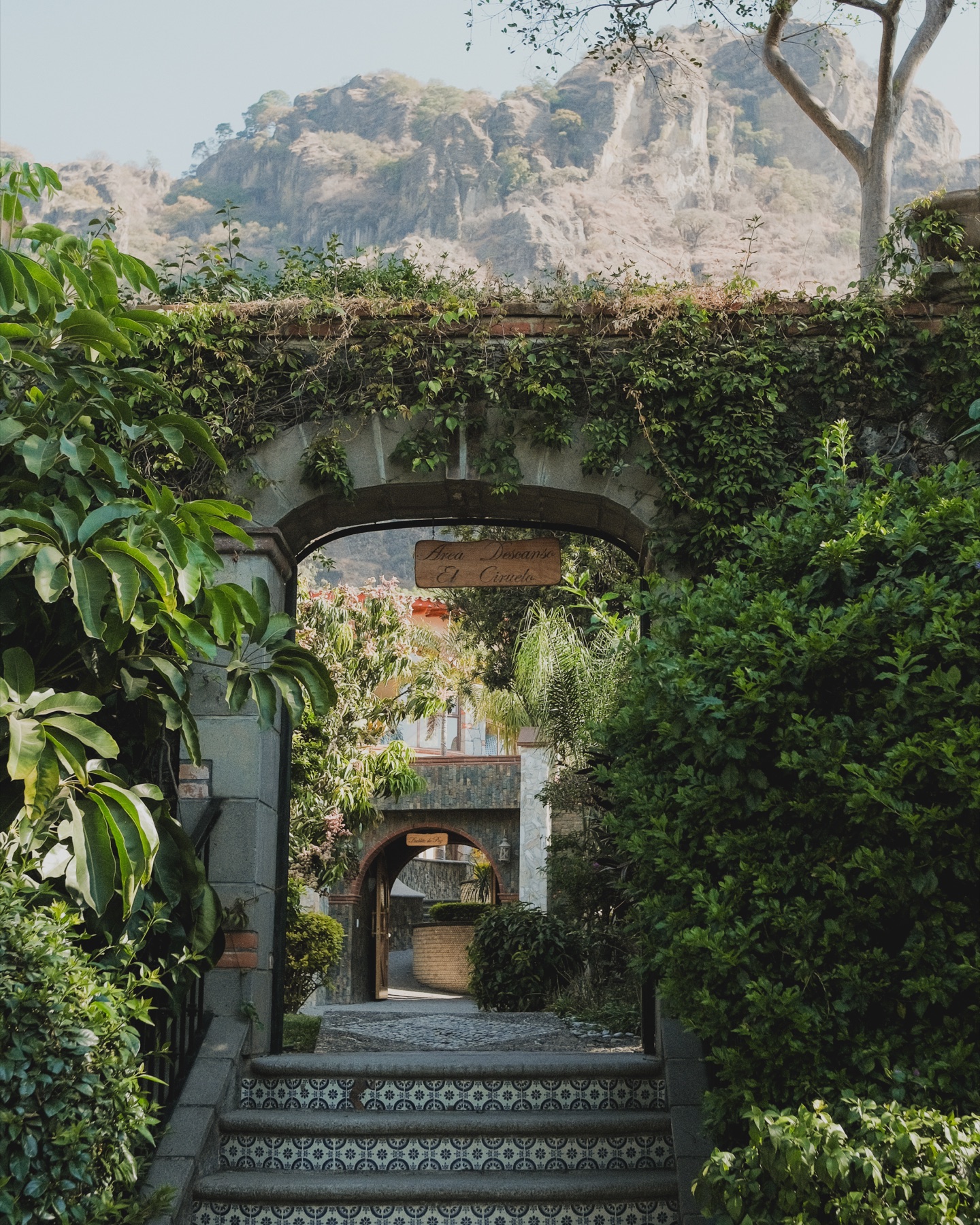 Jardines de La Buena Vibra
