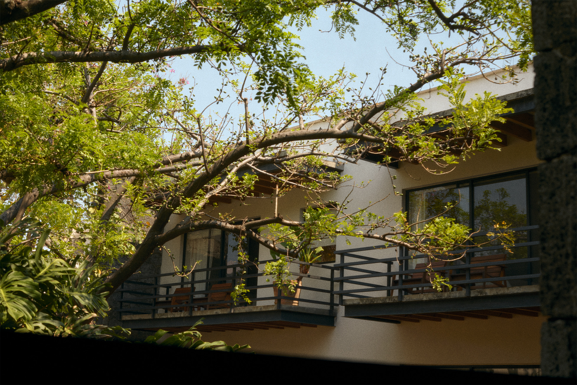 Casa Fernanda