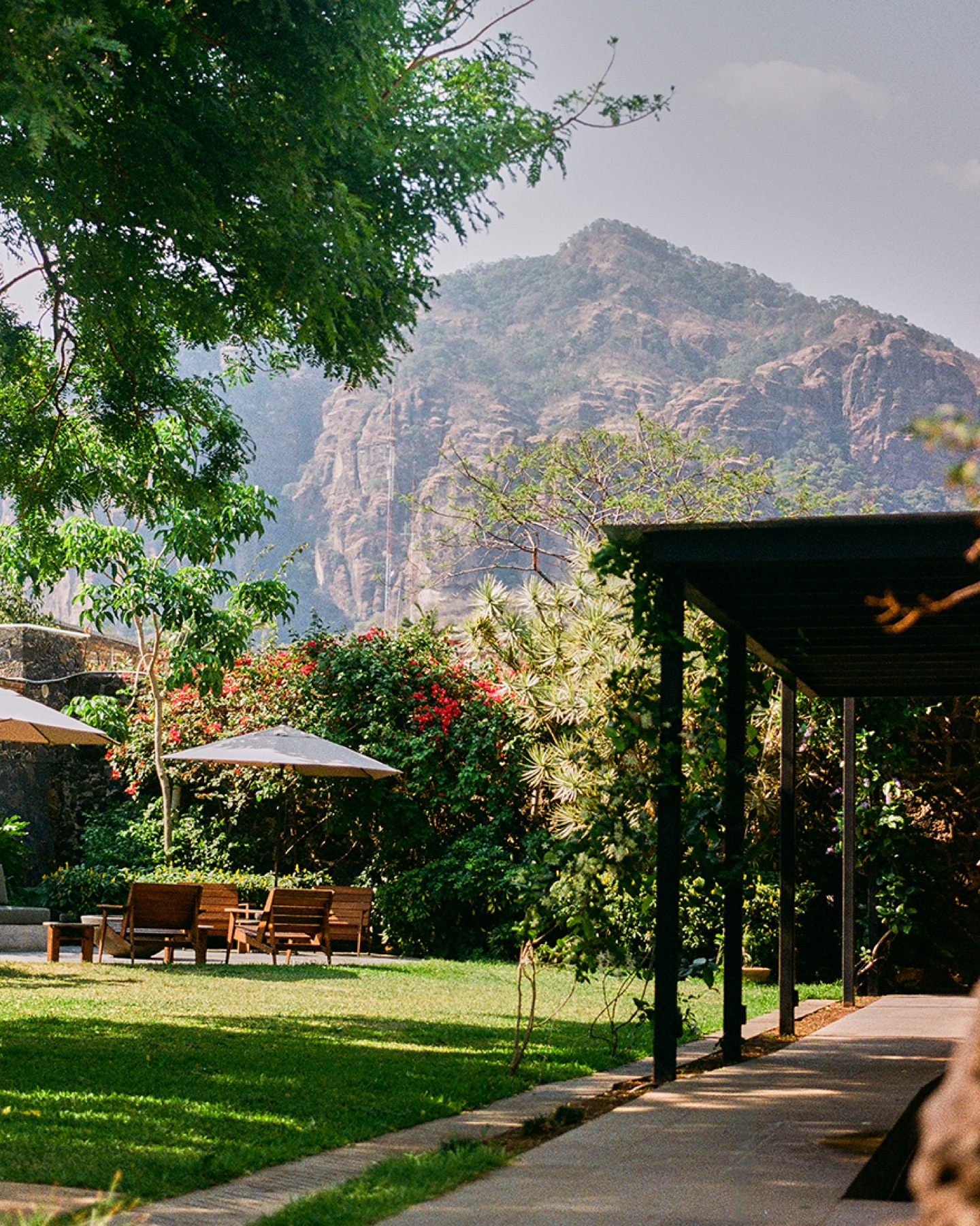 El Tepozteco desde el jardín