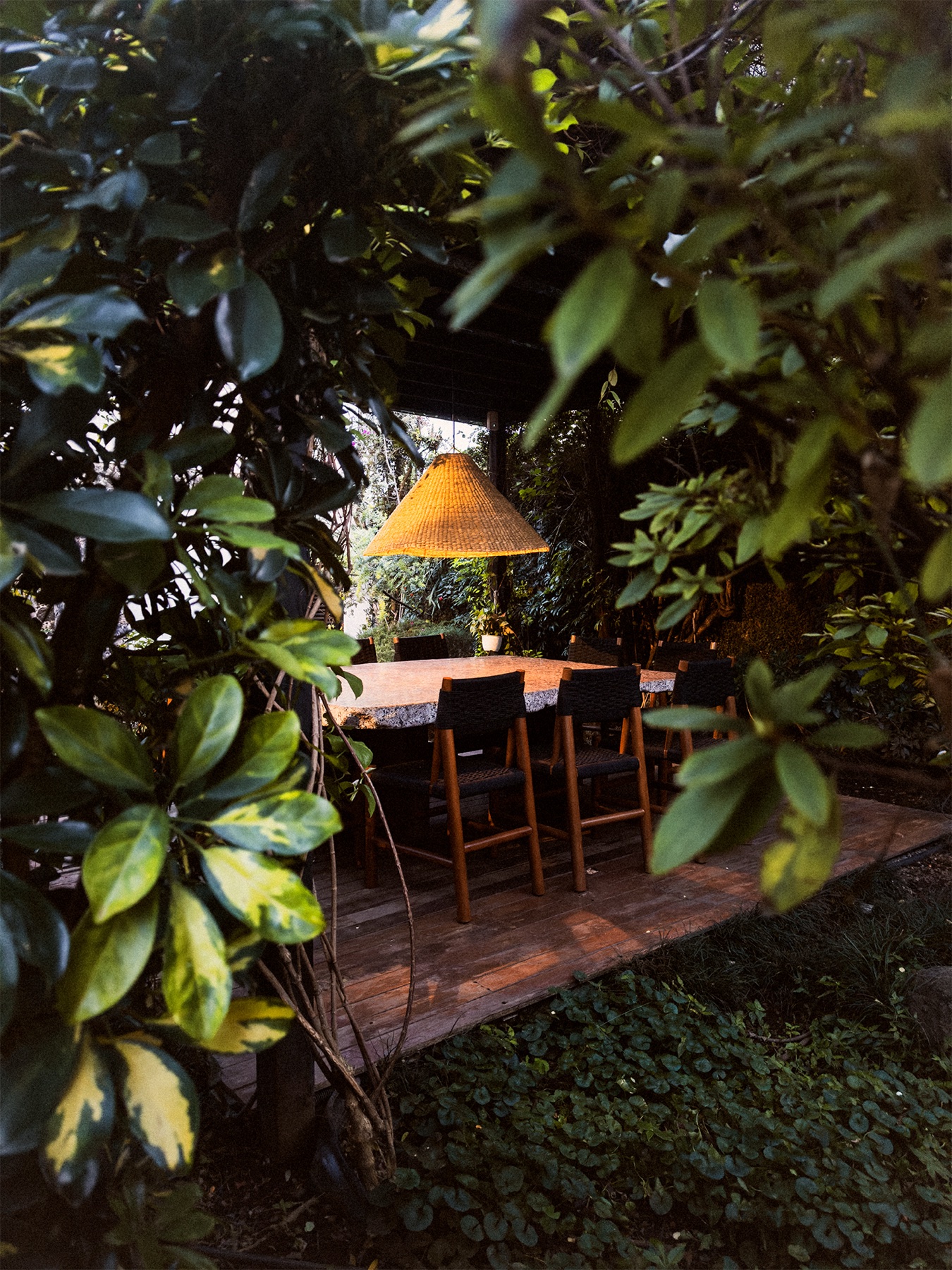 Terraza