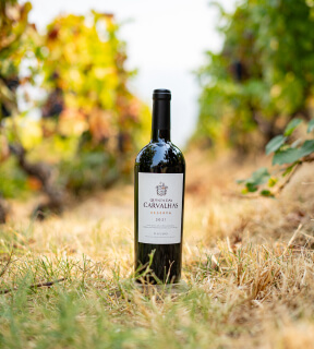 Galeria Quinta das Carvalhas, vinho do douro, reserva
