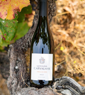Galeria Quinta das Carvalhas, vinho do douro, vinha do eirol