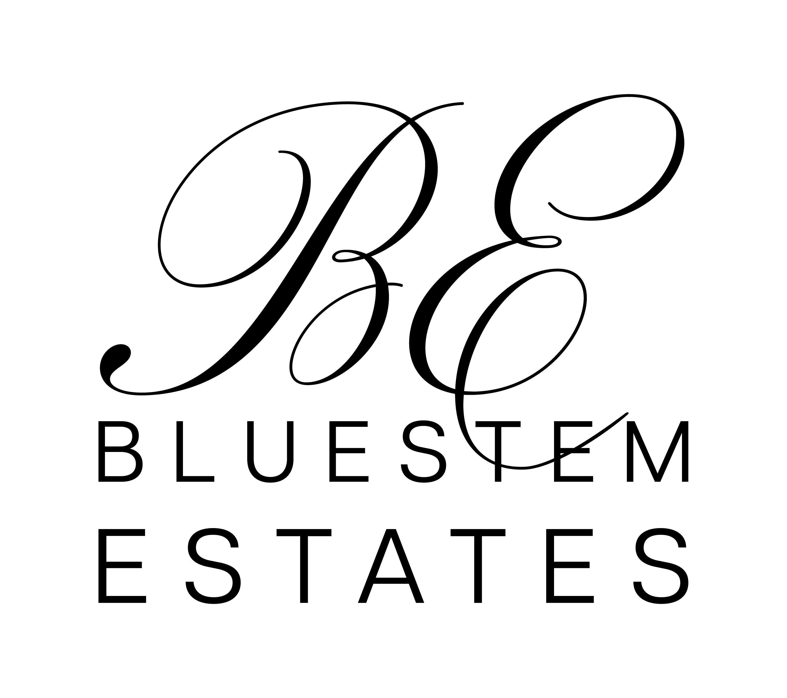 Bluestem company logo with stylized grass blades above the word 'BLUESTEM'.