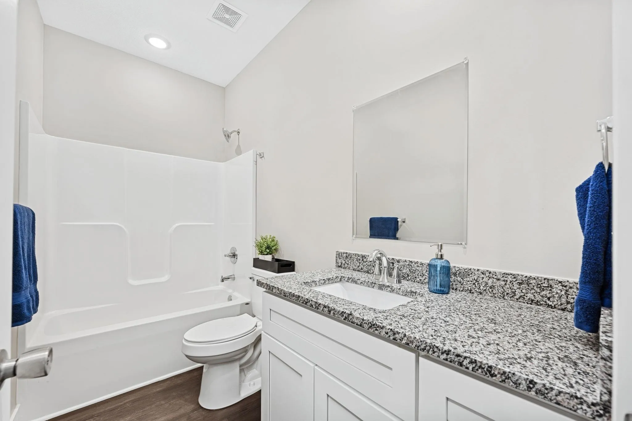 Saddlebrook Feature 1 Bathroom