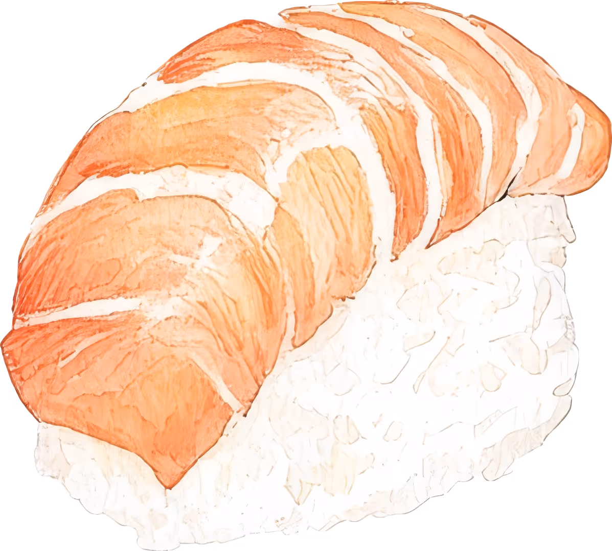 Sushi Illustration