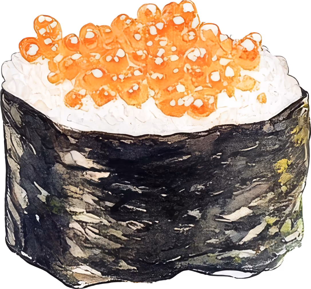 Sushi Illustration
