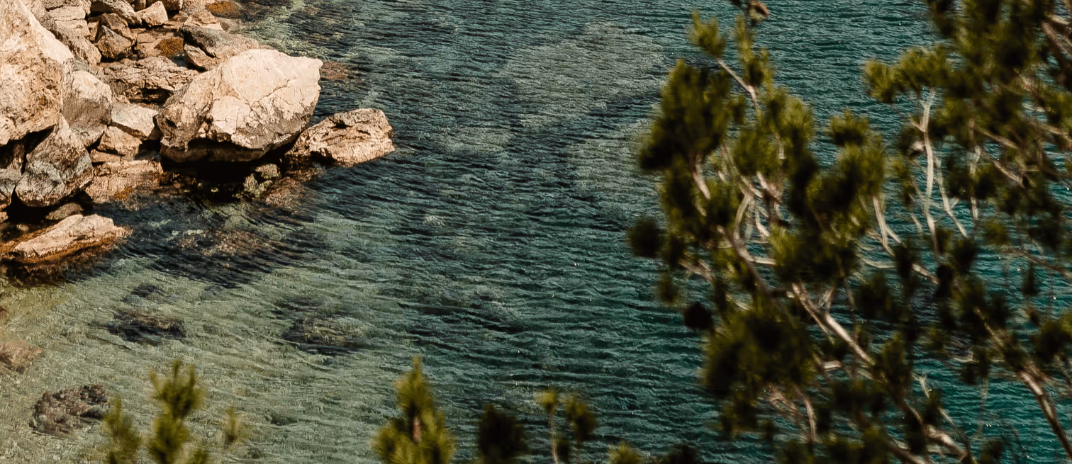 99journeys brand visual showing Close-up of clear water symbolizing clarity and focus for the 99journeys Weekly Digest for high performers