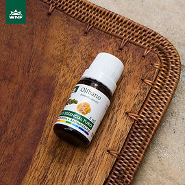Nos últimos dez anos, os óleos essenciais ganharam muita popularidade. Eles são utilizados como alternativas complementares aos tratamentos médicos tradicionais e estão presentes em diversos produtos, como aromatizantes, sabonetes, loções, xampus, perfumes e até repelentes de insetos. 