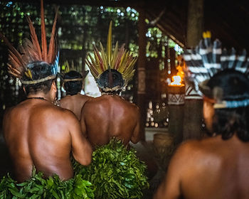 A WNF por ser uma empresa de valores ESG, apoia o cultivo e extração desse óleo essencial na região Amazônica de forma consciente. Ela é parceira e está associada a comunidades que exploram a Copaíba, de forma responsável, como matéria-prima diferenciada para as indústrias farmacêuticas e cosméticas, para fracionamento e produção de cosméticos veganos e naturais.
