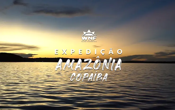 Clique aqui e assista e mini documentário dessa expedição.