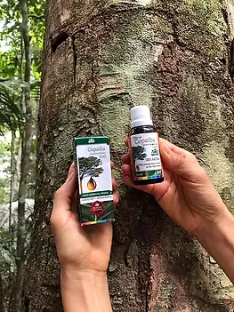 Uso nos cabelos, para leves coceiras e fortalecimento do couro cabeludo:  Use antes de lavar, na pré-lavagem, com os cabelos limpos e secos e aplique entre 5ml e 10ml (depende do comprimento dos cabelos) de óleo pronto para o uso de copaíba, direto no couro cabeludo, puxando o óleo da raiz para as pontas dos fios. Deixe agir por no máximo 10 minutos e em seguida lave com xampu da linha Ethereal Plasma ou da linha Vegana, Raízes Fortes ou Couro Detox.