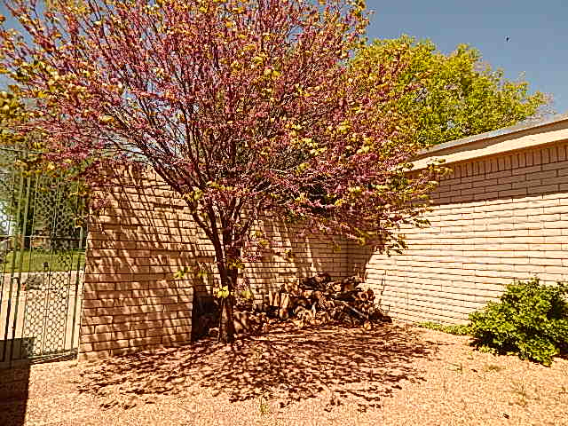 Lovely Patio Home 2
