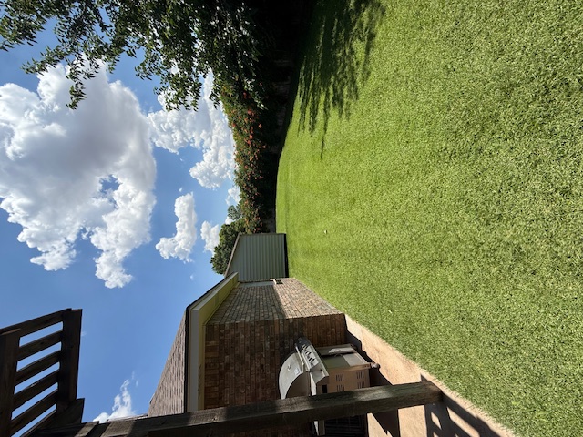 Close to Perfect Backyard 5
