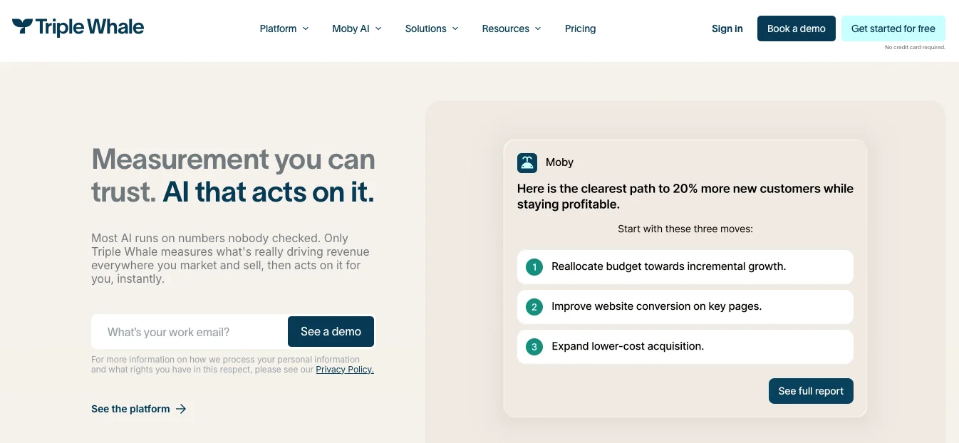 Triple Whale AI Marketing Tool