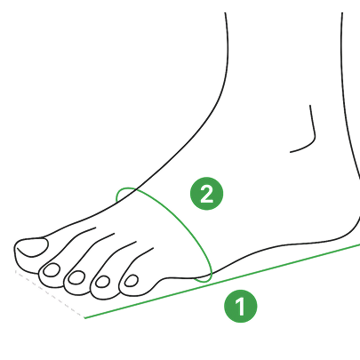 Measure foot length and width, side view