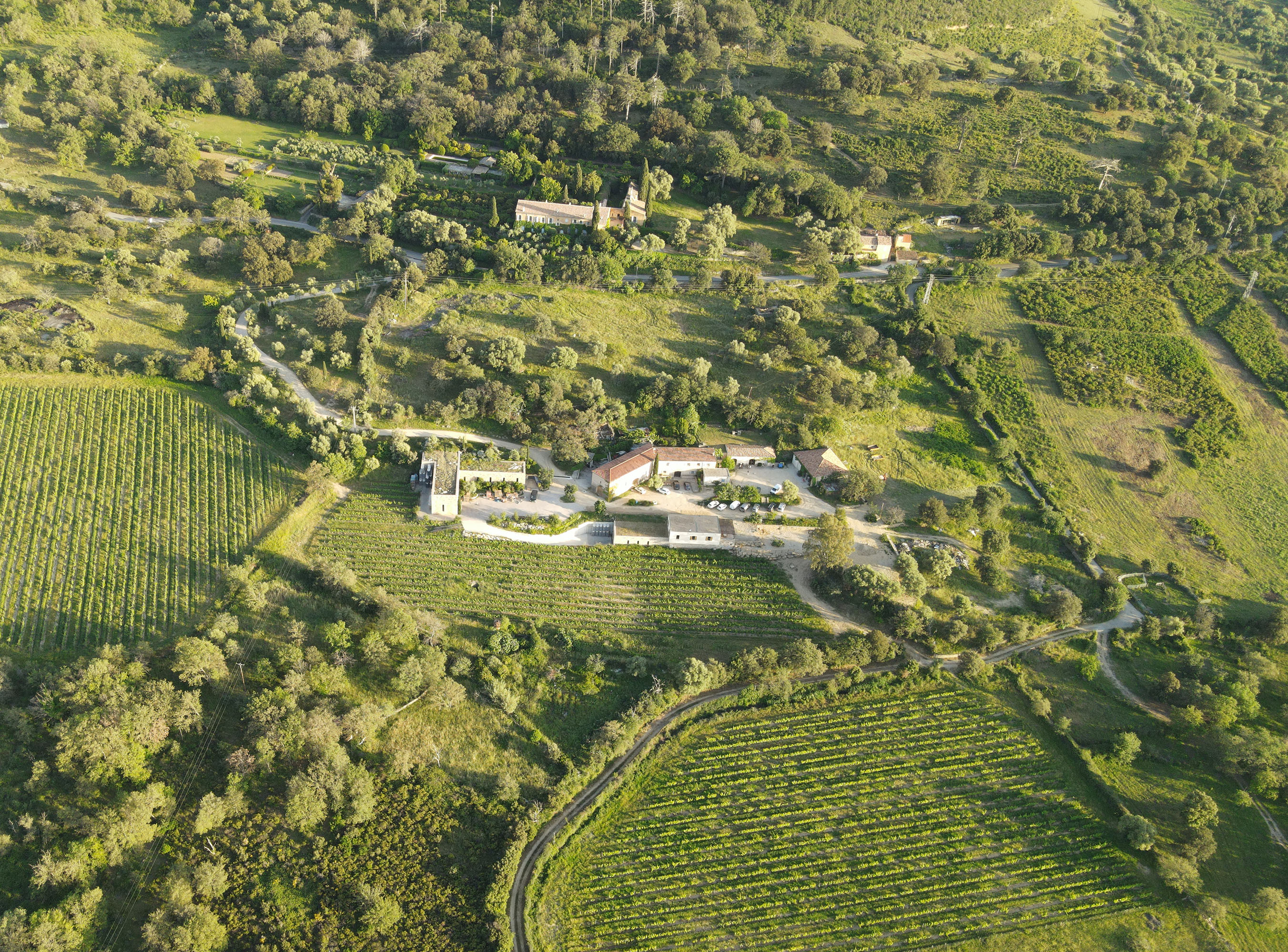 image du domaine 'Alzipratu, quelques bâtiments entourés de vignes et de bosquets.