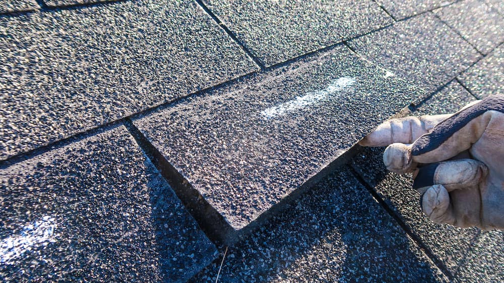 Close-up of a roofing inspector pointing to or checking a damaged shingle after a storm, used for content on roof insurance claims and damage assessment.