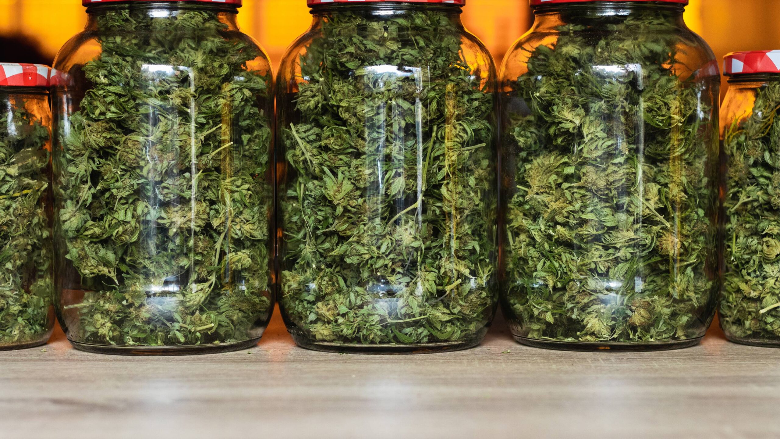 Best Conditions for Curing Cannabis