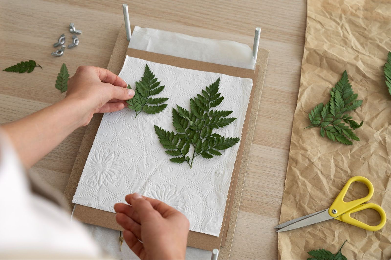 Types of DIY Cannabis Drying Racks