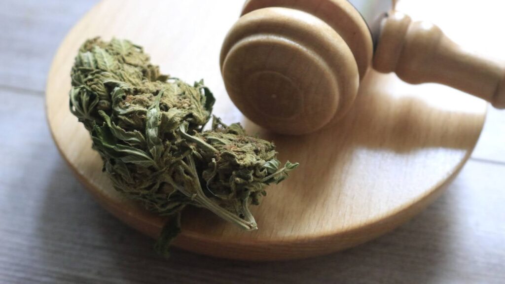 The Current Cannabis Legalization Scenario