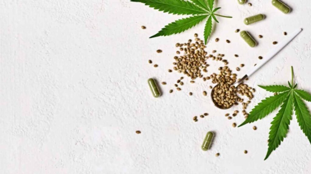 What Nutrients do Cannabis Plants Need