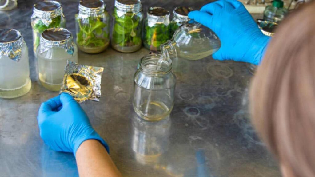 What is Water Curing